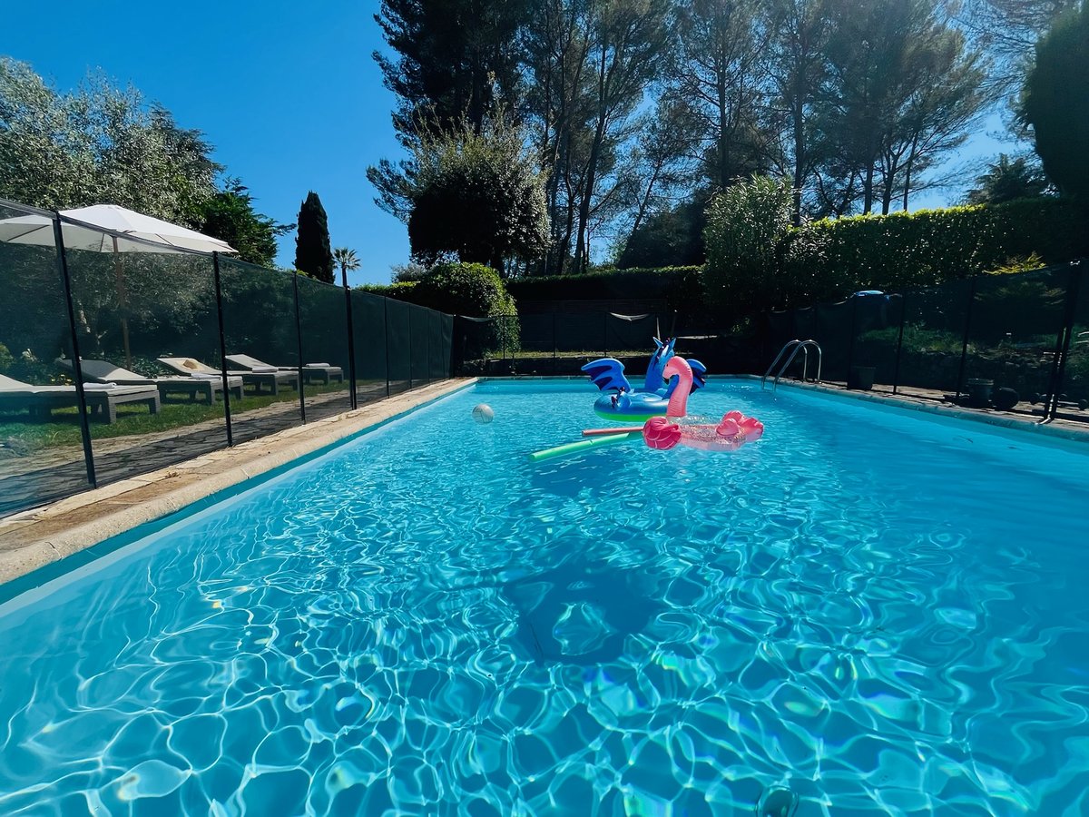 Piscine privée bordée de pins parasols